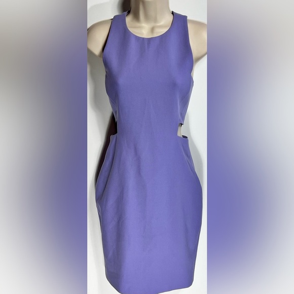 ELIZABETH & JAMES Phoenix Jersey Dress - Picture 2 of 5